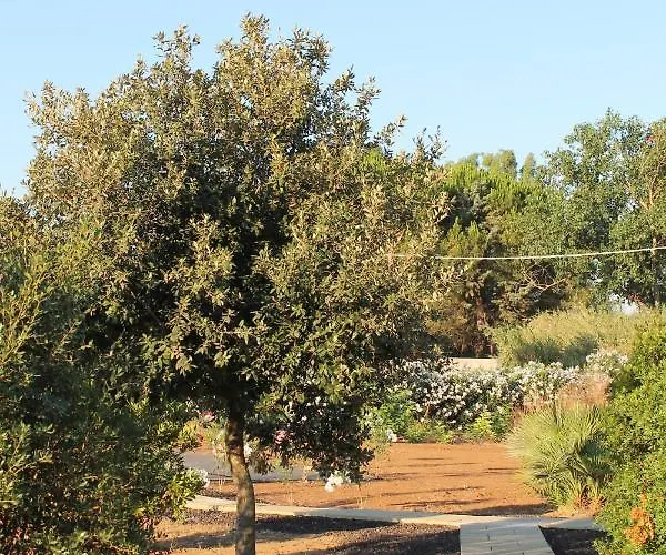 Maris - Homes Apartamento Alguer