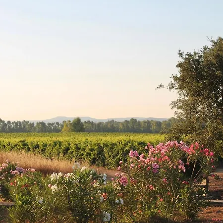 Apartament Maris - Homes *