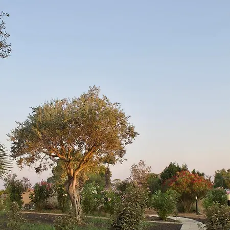 Apartament Maris - Homes Alghero