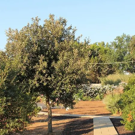 Maris - Homes דירה אלגהרו